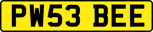 PW53BEE