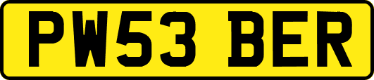 PW53BER