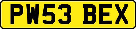 PW53BEX