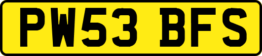 PW53BFS
