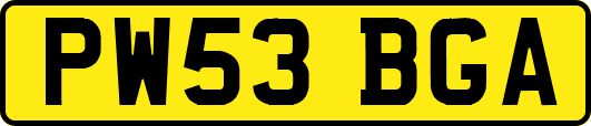PW53BGA
