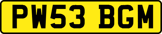 PW53BGM