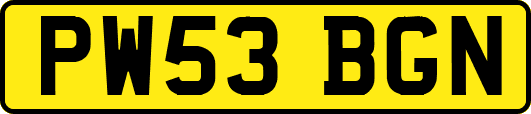 PW53BGN