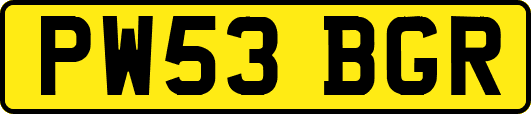 PW53BGR