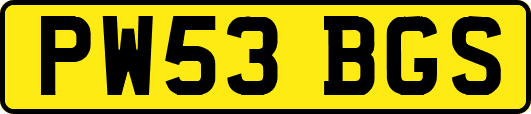 PW53BGS