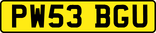 PW53BGU