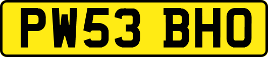 PW53BHO