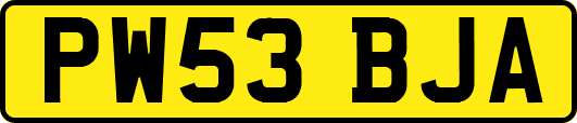 PW53BJA