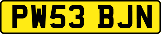 PW53BJN
