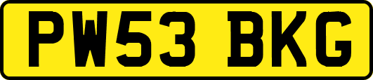 PW53BKG