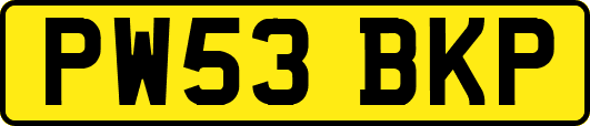 PW53BKP
