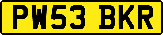 PW53BKR