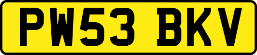PW53BKV