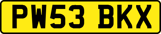 PW53BKX