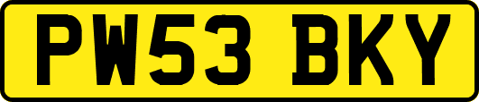 PW53BKY