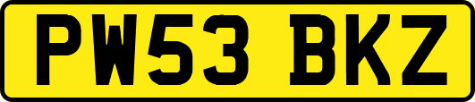 PW53BKZ