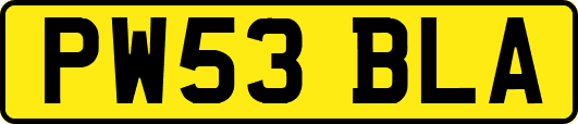 PW53BLA