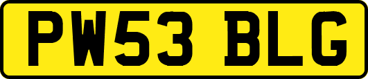 PW53BLG