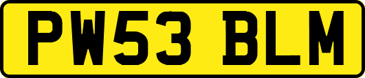 PW53BLM
