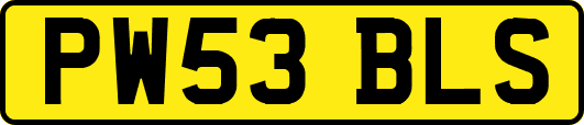 PW53BLS