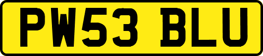 PW53BLU