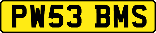 PW53BMS