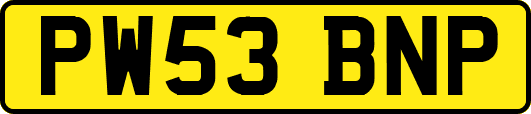 PW53BNP