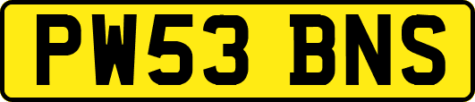 PW53BNS