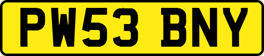 PW53BNY