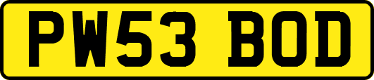 PW53BOD