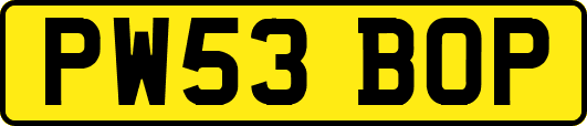 PW53BOP