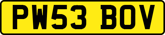 PW53BOV