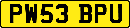 PW53BPU