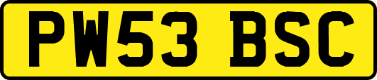 PW53BSC