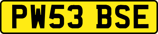 PW53BSE