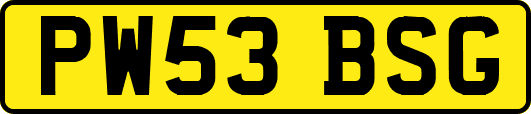 PW53BSG
