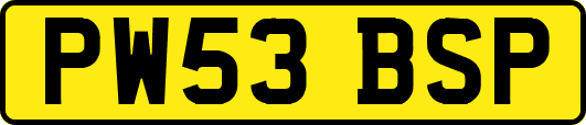 PW53BSP