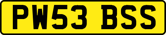 PW53BSS