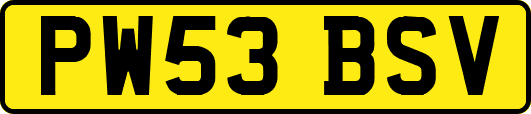PW53BSV