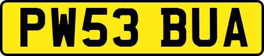 PW53BUA
