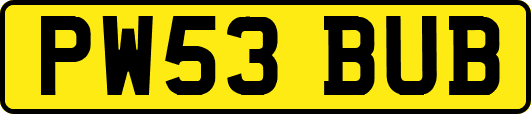 PW53BUB