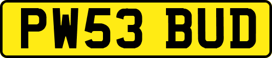 PW53BUD