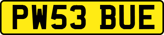 PW53BUE