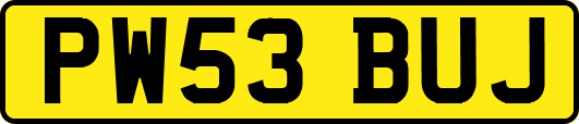 PW53BUJ