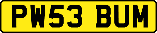 PW53BUM