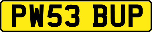 PW53BUP