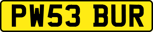PW53BUR