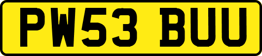 PW53BUU