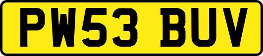 PW53BUV