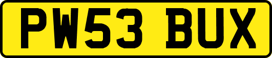 PW53BUX
